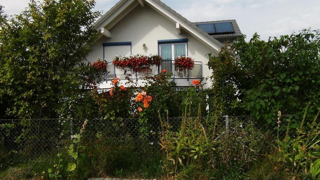Haus Erika Am Weg Bed and Breakfast Kesswil Buitenkant foto