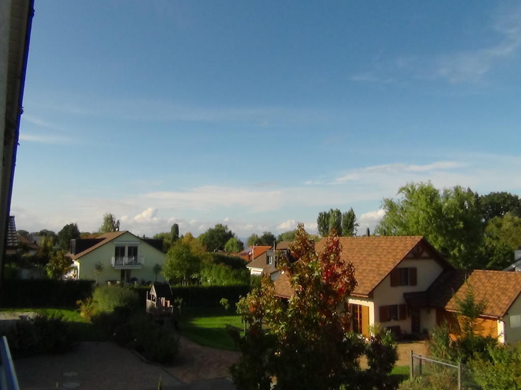Haus Erika Am Weg Bed and Breakfast Kesswil Buitenkant foto